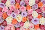 Rose Farmers All-In-One Deal: Farmer's Choice Roses with Vase & Shipping Included Up to 48% Off