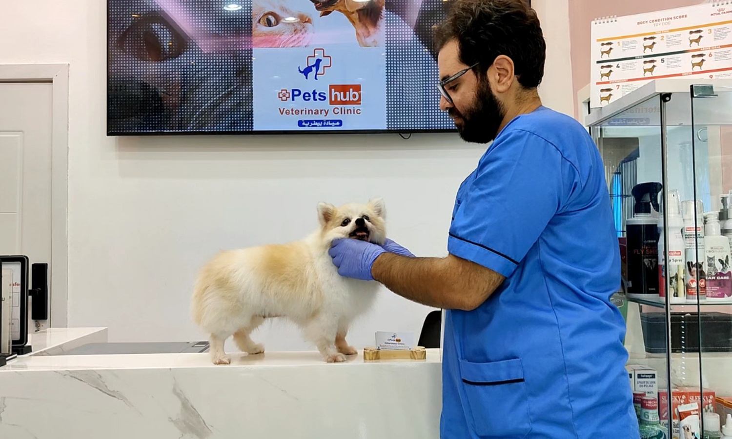 Annual Vaccination or Full Dental Scaling For Cats & Dogs