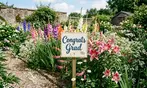 Flower Bulb Collections: Bleeding Hearts, Baby's Breath, Gladiolus, Bee & Butterfly Garden