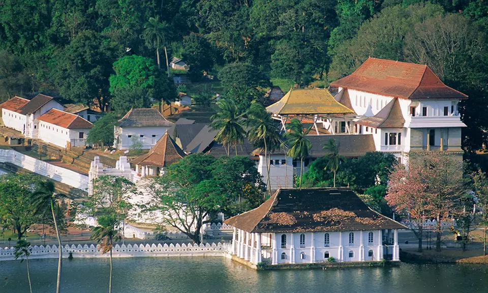Discover Sri Lanka: 11-Day Private Tour with a Guide, Scenic Transfers