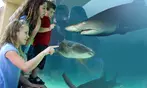 Aquarium of the Pacific Deals – Save Up to 33% on Admission