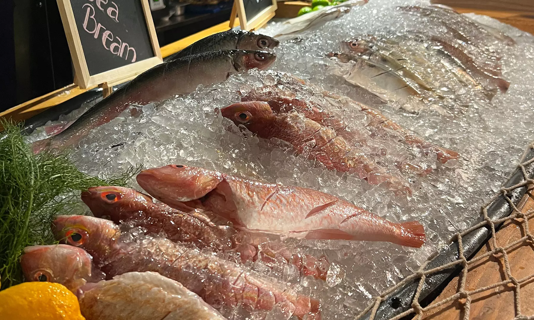 5* Theme Night Dinner Buffet w/ Soft Beverages for Child or Adults