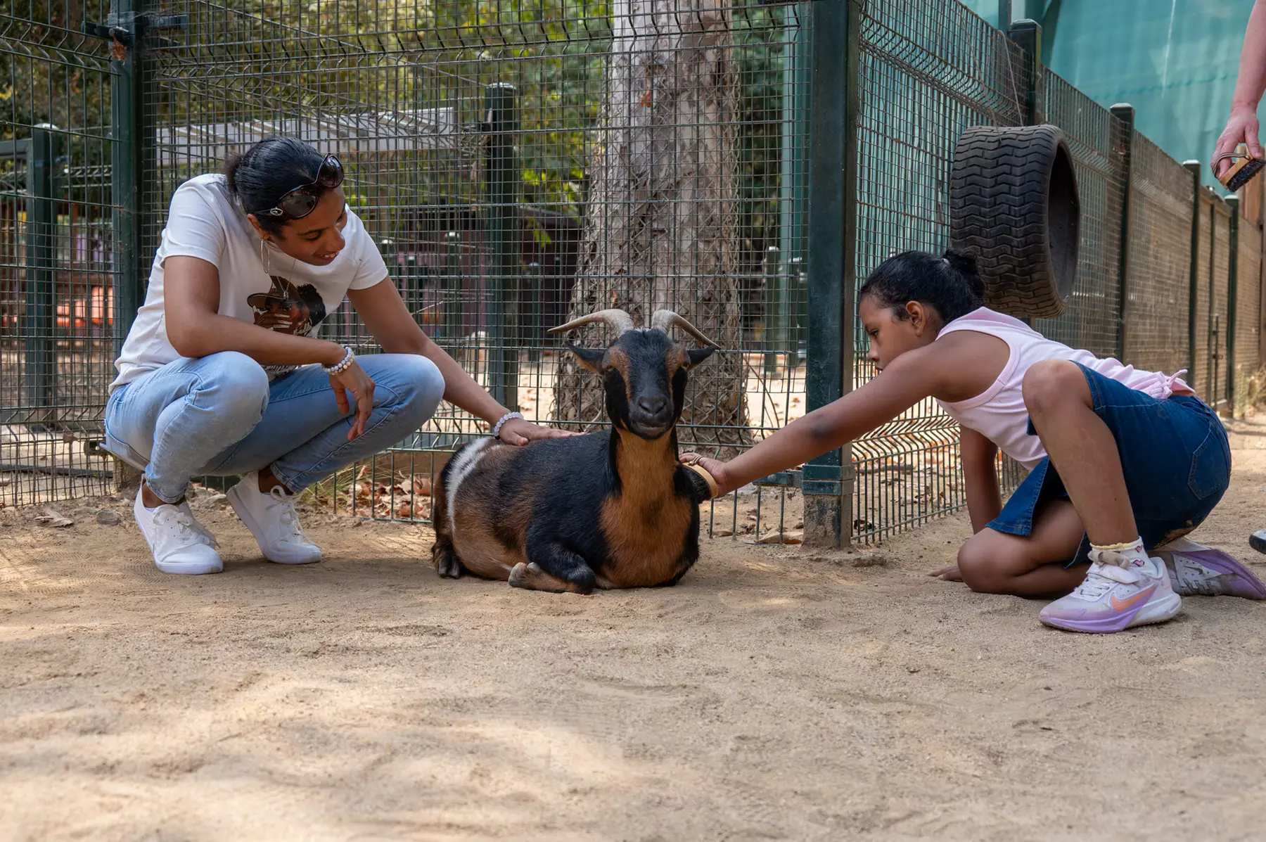 LA Zoo Admission - Explore Incredible Wildlife at the Los Angeles Zoo