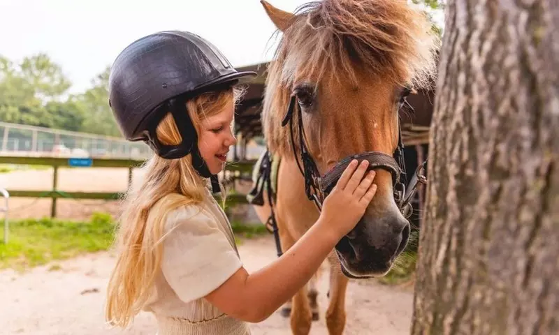 Westfriesland: 3-4 Nächte in der Safari Lodge oder Ferien-Villa