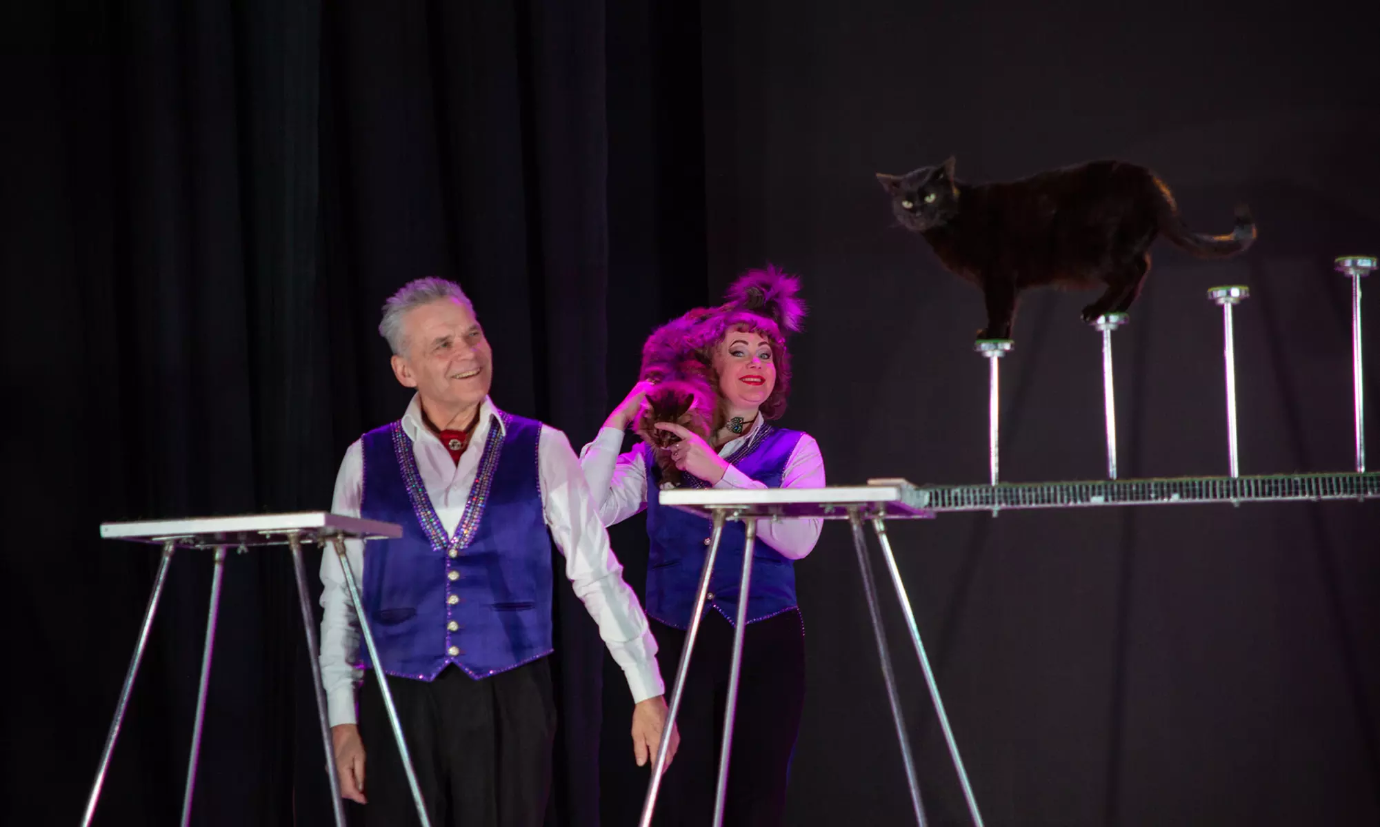 1 Ticket für den Ludwigshafener Weihnachtscircus vom 22.12. bis 03.01.