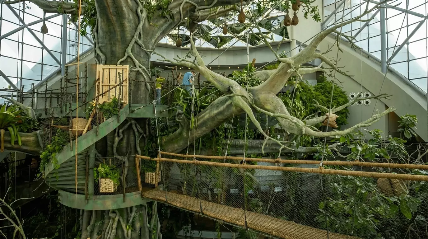 Child or Adult Pass: Green Planet Day or Optional Ain Dubai Adult Pass