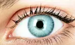 LASIK Eye Surgery with Consultation for One or Both Eyes