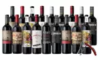 Wine Gift: Splash Wines 18-Bottle Global Collection + Free Corkscrew