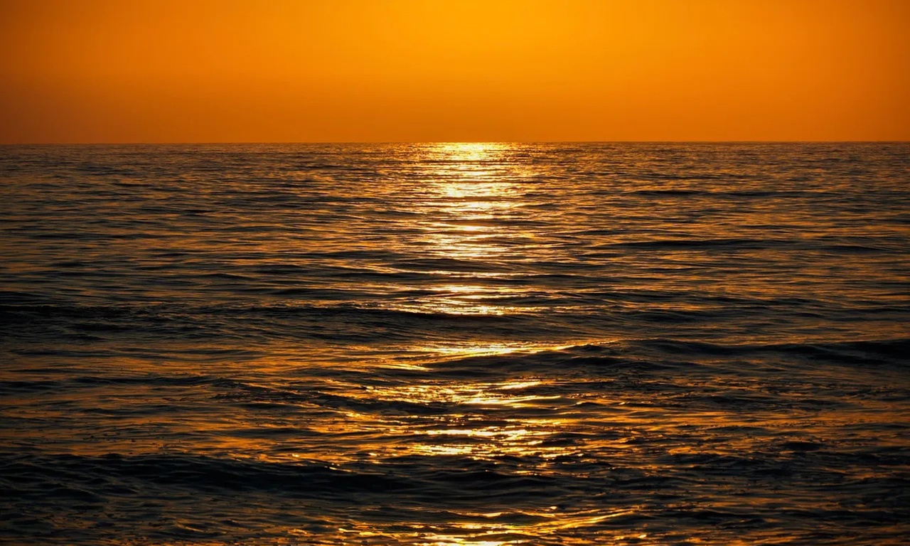 Photoshoots: 30-Min, 90-Min, or 4-Hr with Photos & Prints