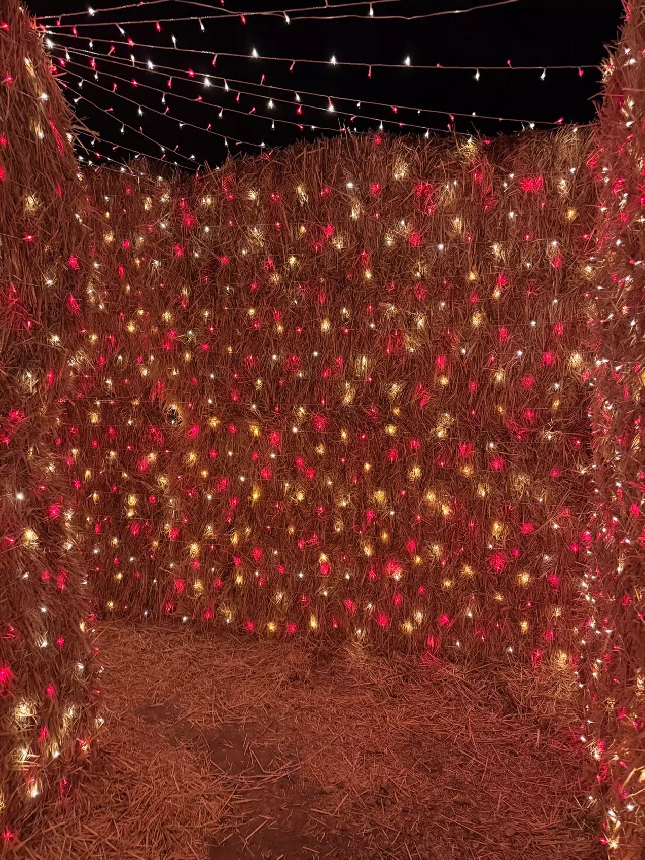 Lost in Christmas Admission to Shindig Farms