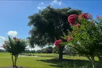 Scenic Championship Golf in Tampa Bay