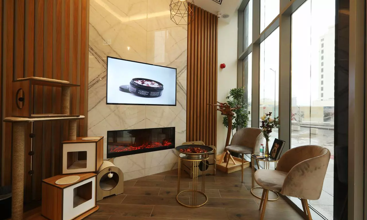 Full and Basic Grooming Options for Dogs and Cats