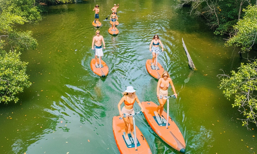 Ticket to Narrabeen Sup Creek Tour for Up to 11 People