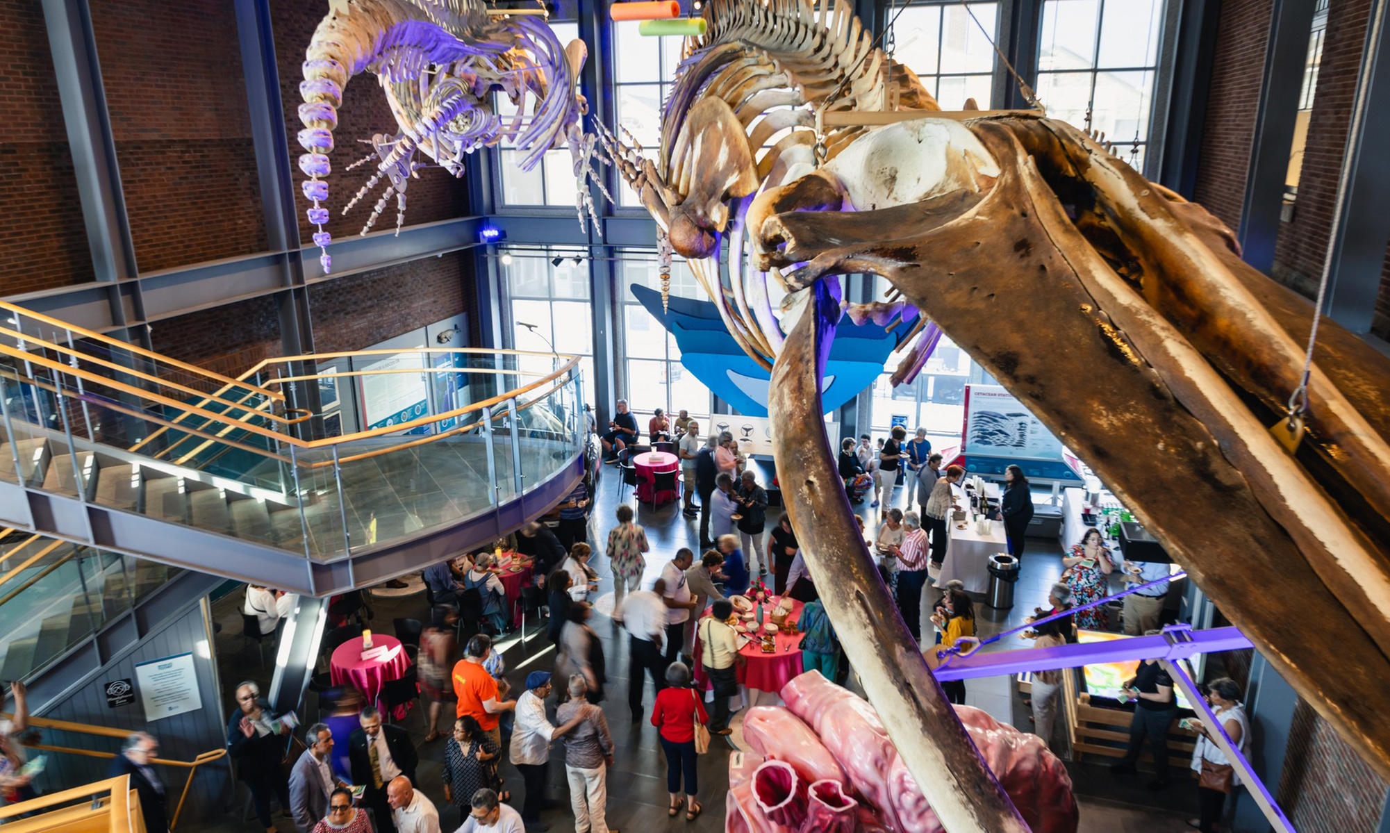 New Bedford Whaling Museum Admission