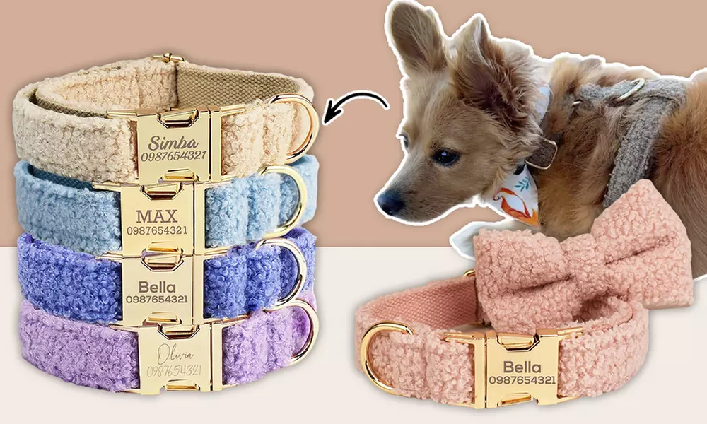 Personalisierbares Haustier-Halsband mit integriertem Namensschild