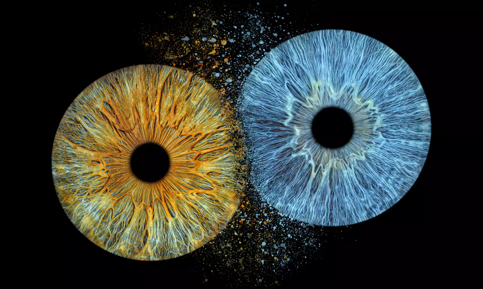 Zachowaj historię w spojrzeniu – unikalne zdjęcie tęczówki oka