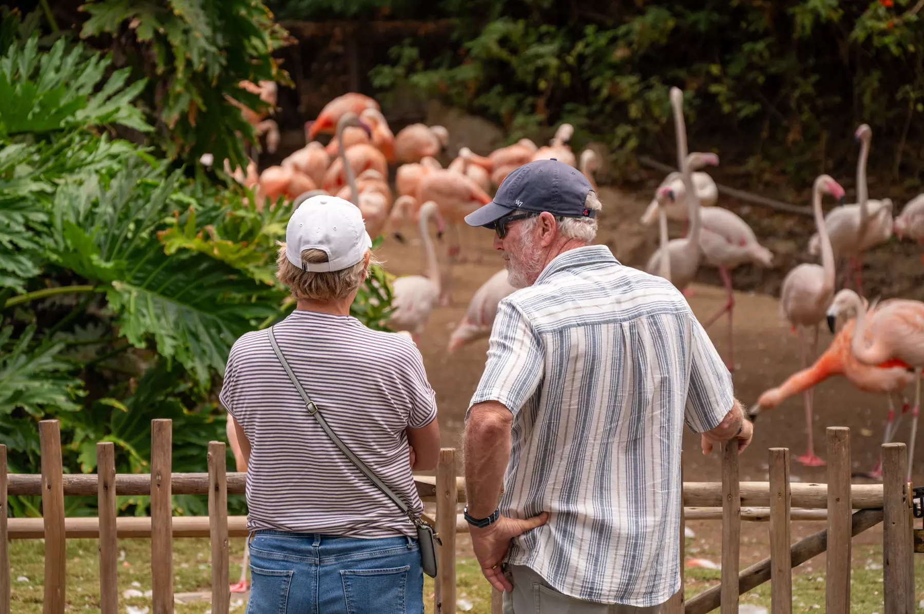 LA Zoo Admission - Explore Incredible Wildlife at the Los Angeles Zoo