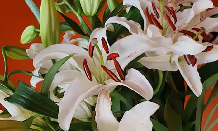 Makijaż permanentny brwi lub ust dla naturalnego piękna o każdej porze