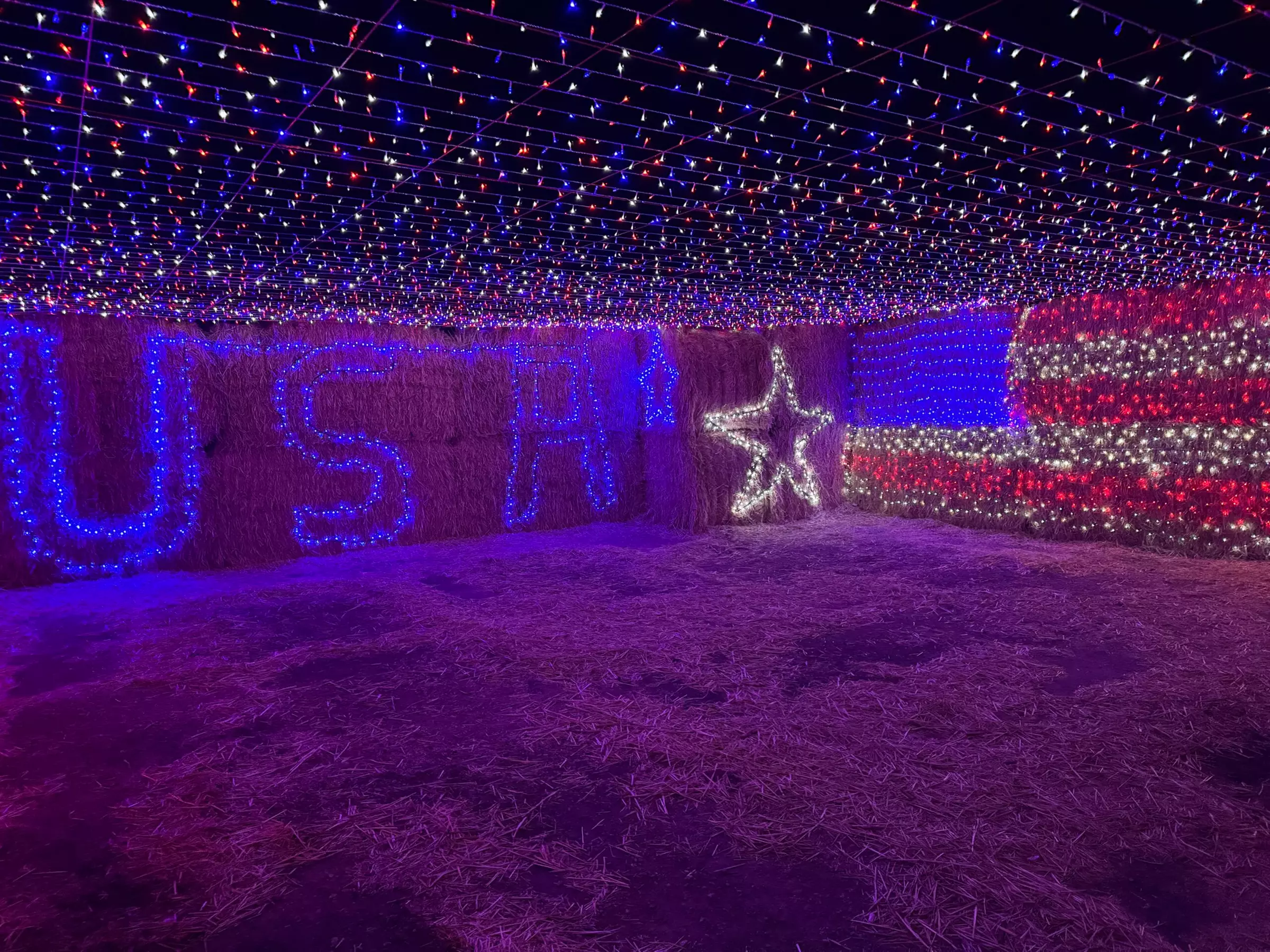 Lost in Christmas Admission to Shindig Farms