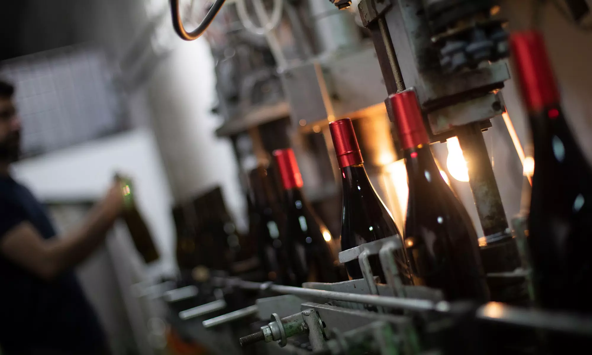 Visita guiada y cata de vinos en Bodegas Jesús Díaz e Hijos