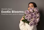 Rosaholics Deal: Up to 57% Off Premium Roses & Exotic Flowers