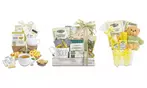 Comfort Gift Baskets: Soup, Tazo Tea, & Cozy Plush Bear