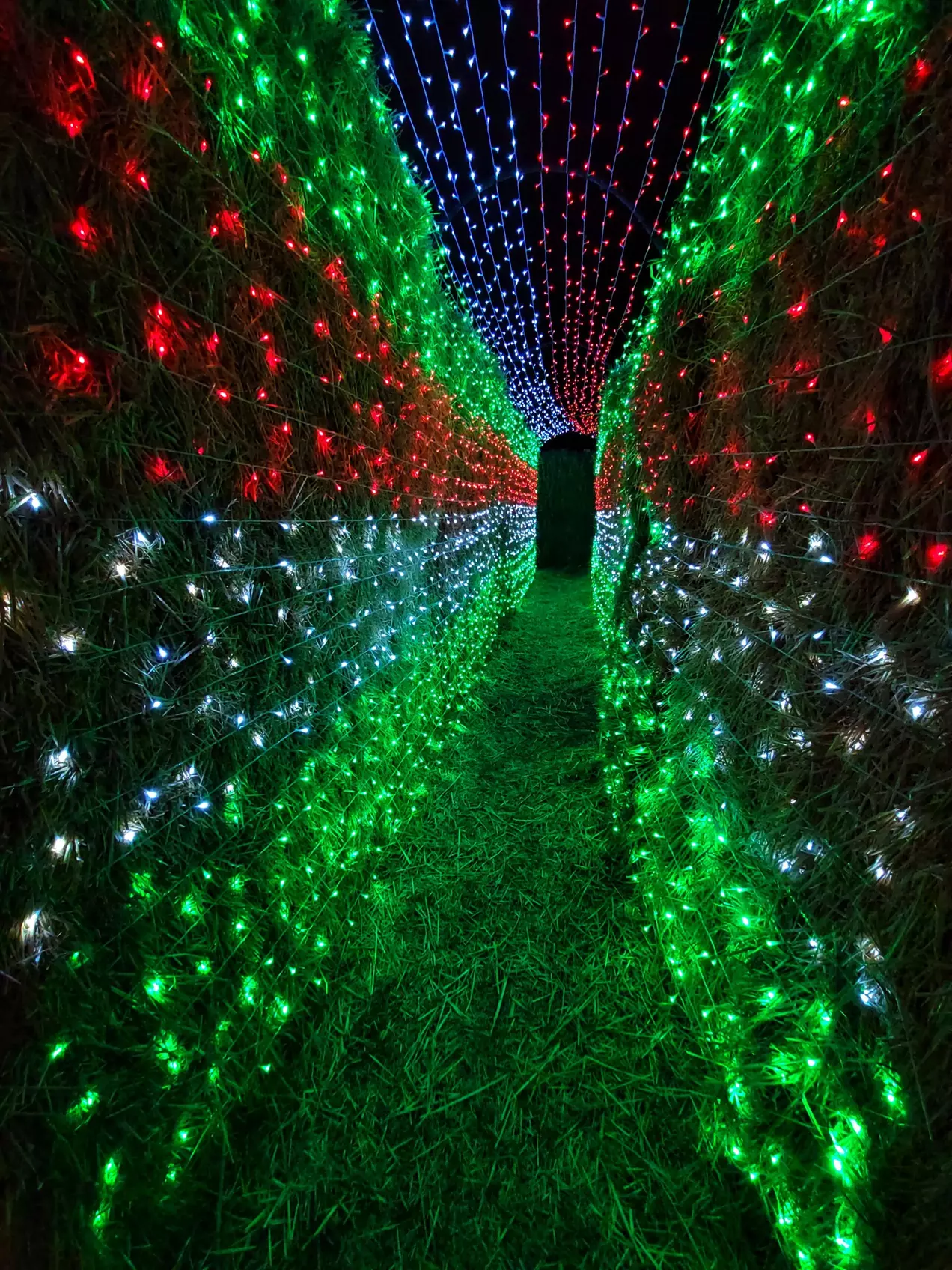 Lost in Christmas Admission to Shindig Farms