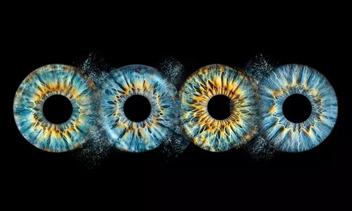 Œuvre d’art personnalisée de l’iris pour couples, familles ou animaux