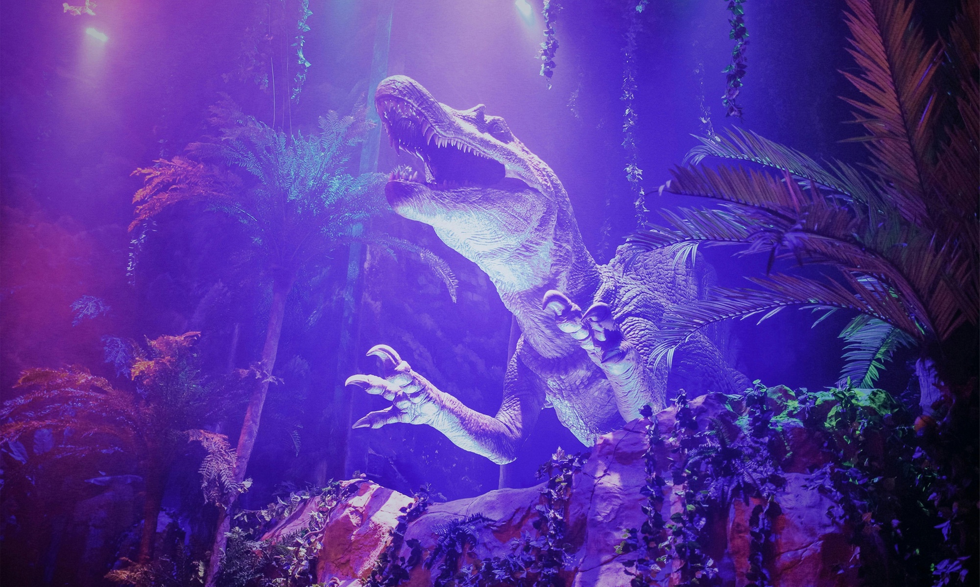 Entrada adulto, niño o packs para El Bosque Encantado y Dinolandia