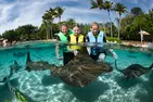SPECIAL OFFER! Discovery Cove Day Resort – Orlando's #1 Theme Park