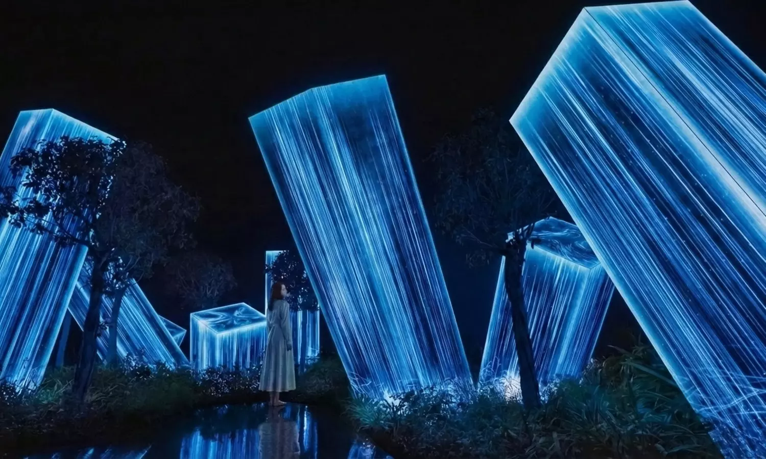 Explore w/ Full Access to Teamlab Phenomena Experience for One or Two