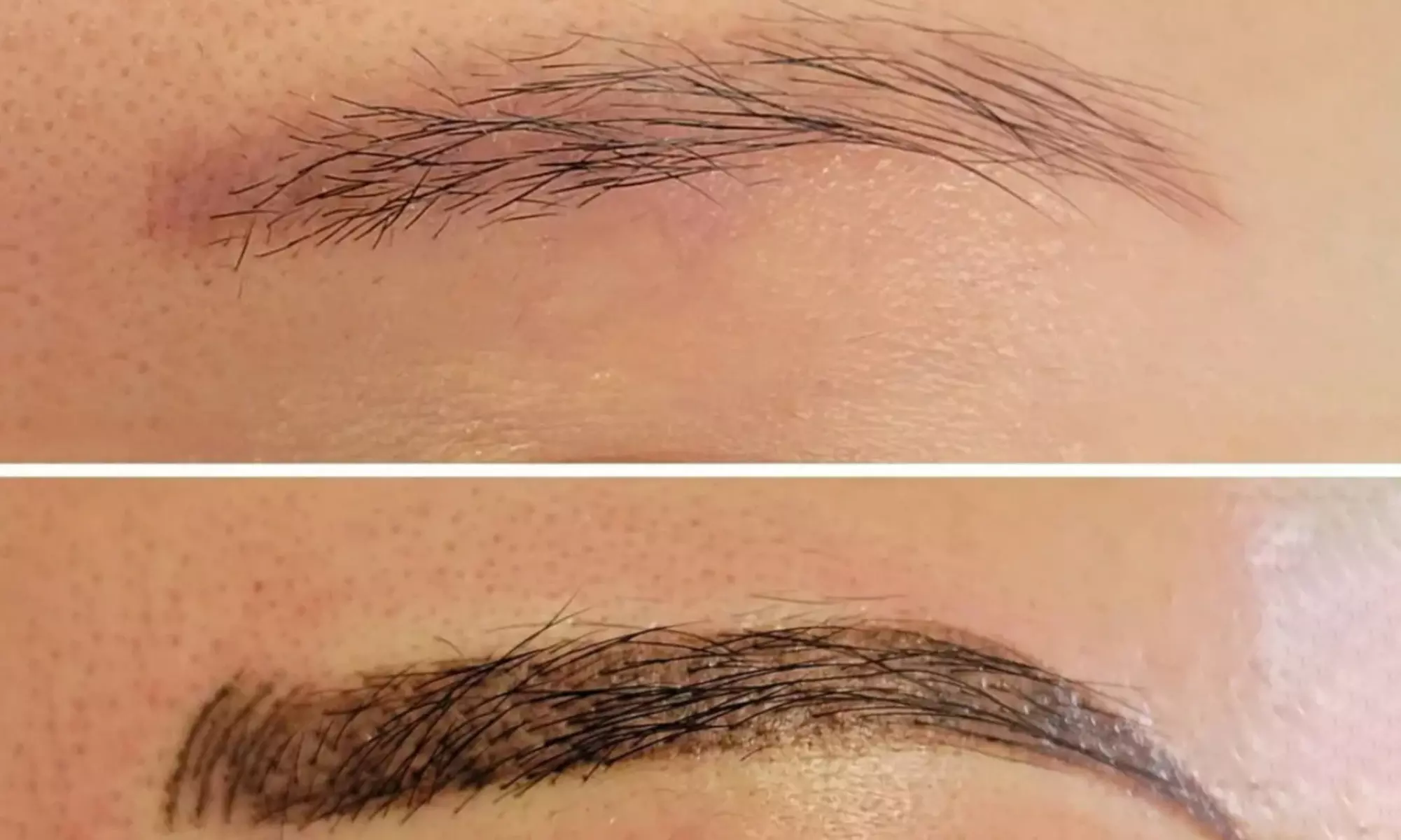 Regular Brow Touch-Up, Ombre Brows or Powdered Brows