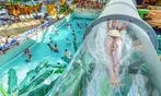 Flex-Tagesticket für das AquaMagis Erlebnisbad All Inkl. für 1 Person