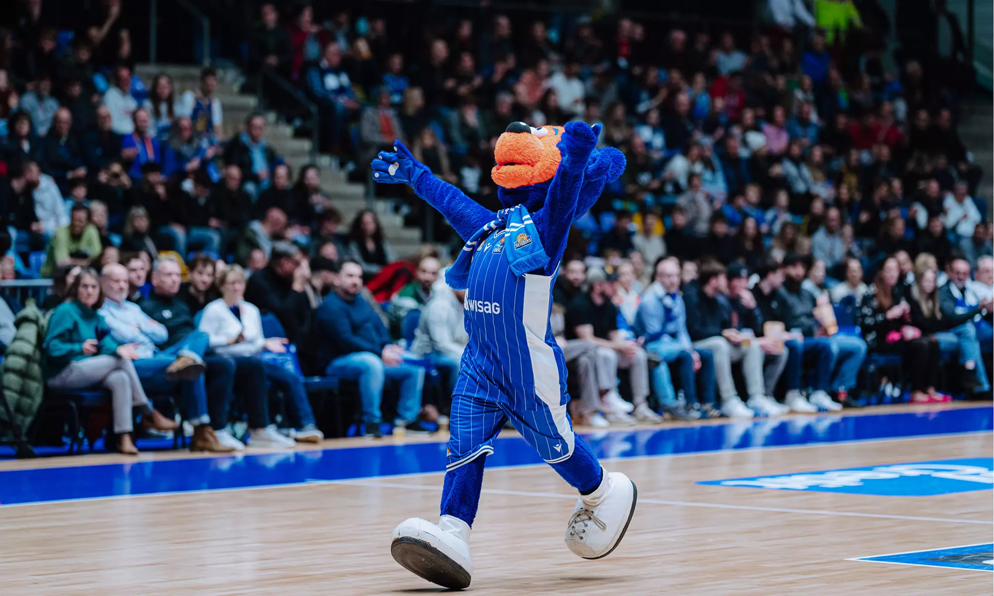 2 Tickets für ein Heimspiel der Frankfurt SKYLINERS