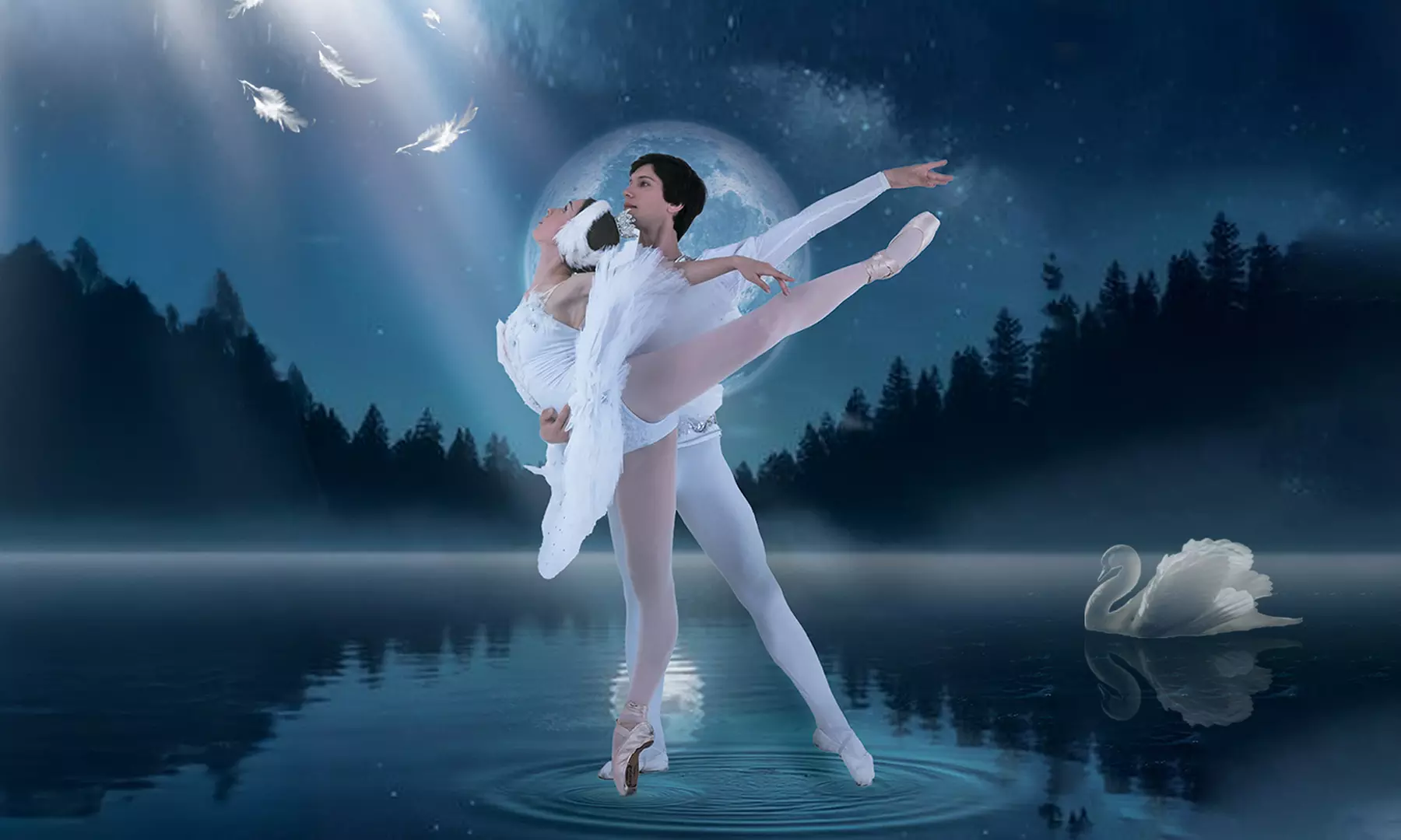 Sitzplatz-Ticket für „Schwanensee“ vom 08.01. - 29.11.2026