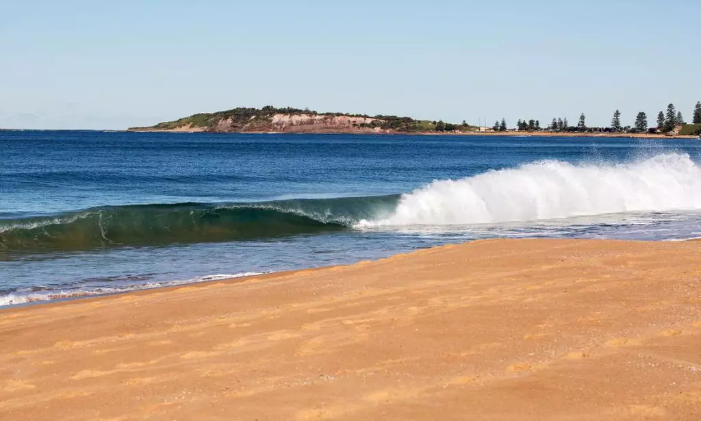 Narrabeen Beach: Studio Suite with Breakfast and Welcome Drinks