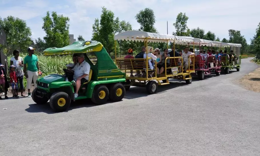 Safari Niagara: Animal Encounters & Thrilling Adventures