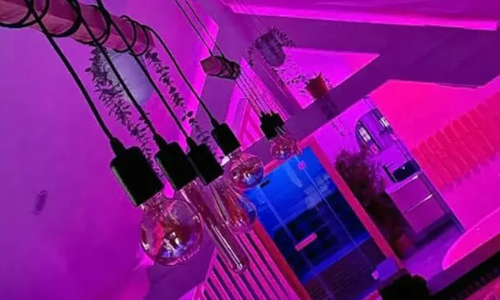 Instant détente avec Le Palma