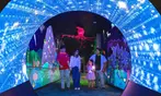 Georgia Aquarium General Admission Ticket Deals