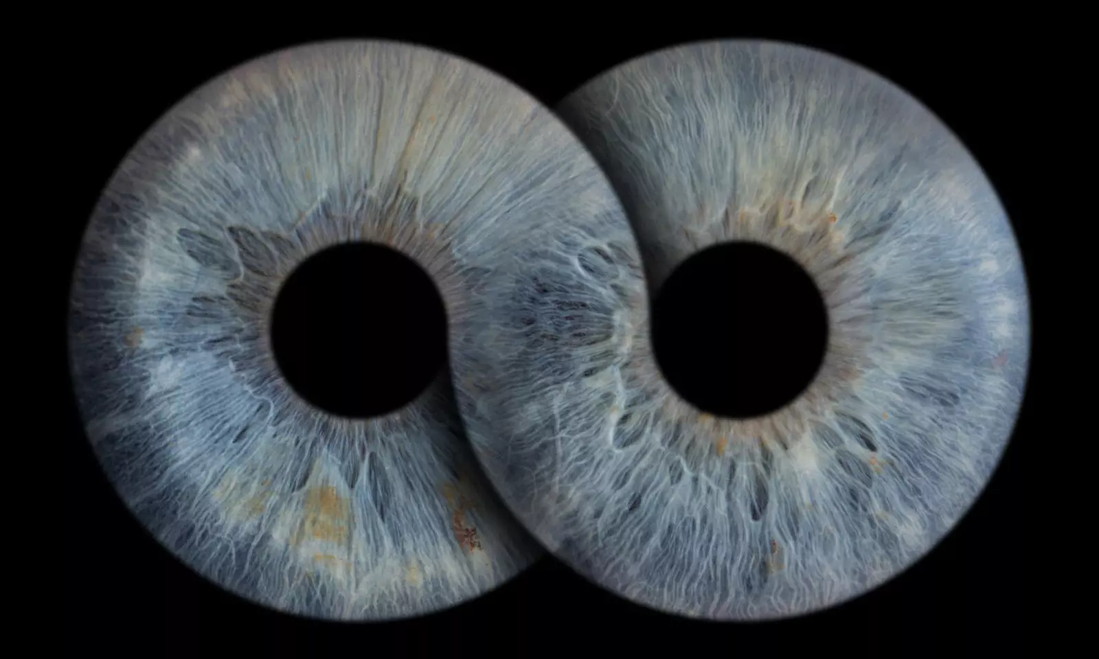 Iris-Fotoshooting opt. mit Effekt für 1 - 4 Personen