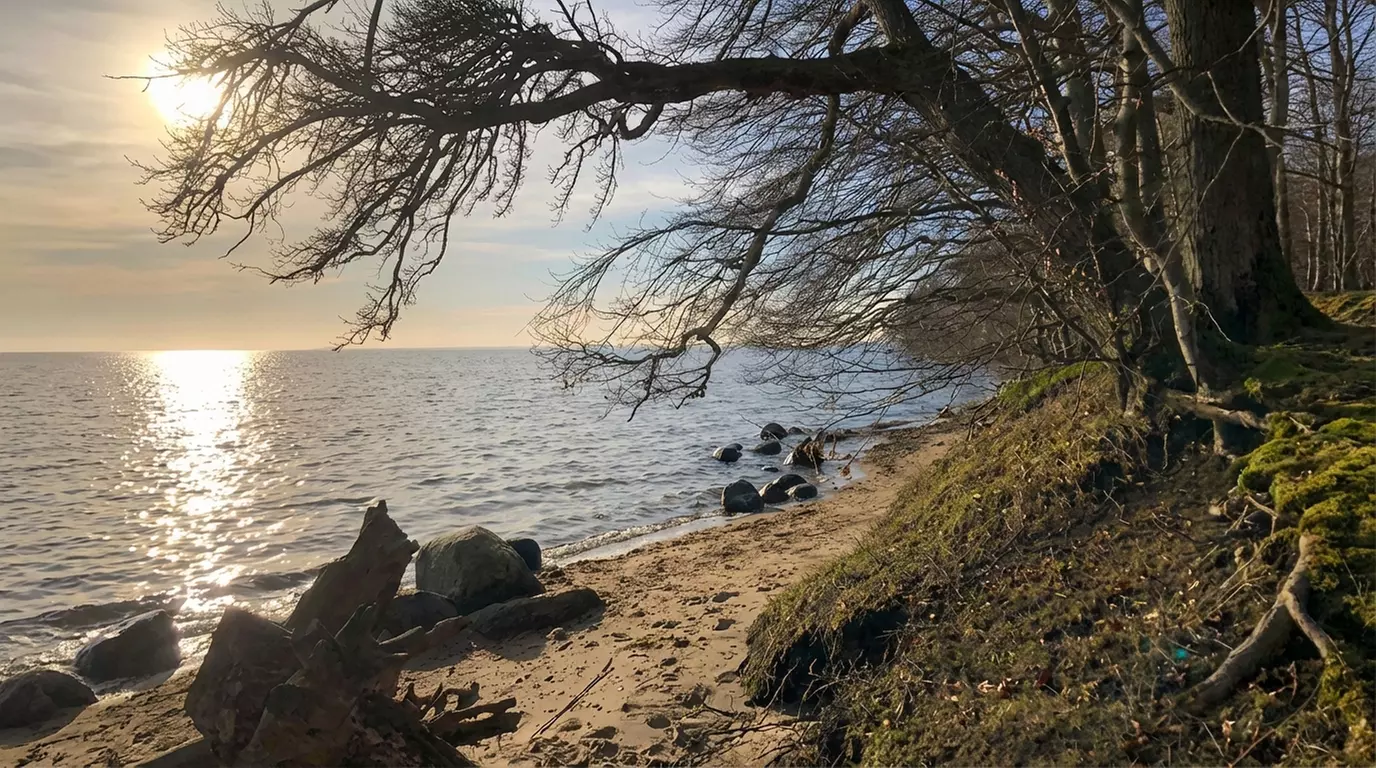 Rügen: 4-6 Nächte Basen- o. Buchingerfasten inkl. Programm