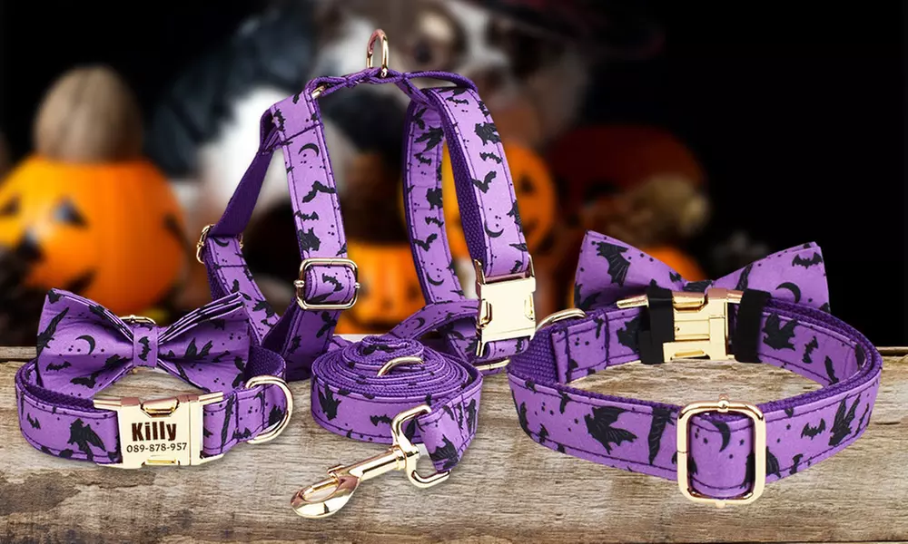 Personalisierbares Haustier-Halsband im Halloween-Design