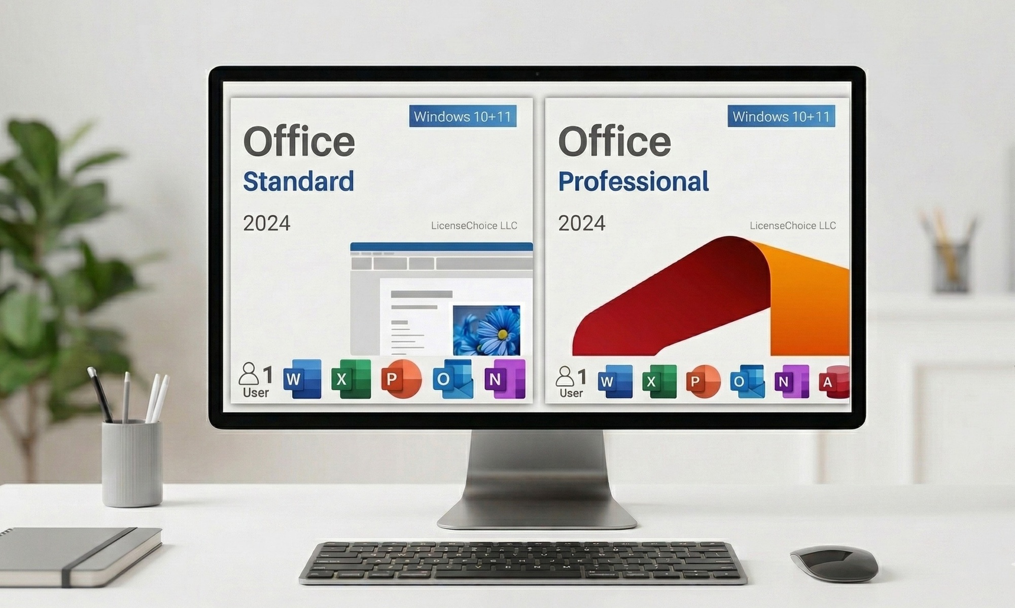 Office 2024 Professional Plus of Office 2024 Standard