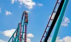 END OF SUMMER SALE! Save 59%! SeaWorld Orlando Tickets
