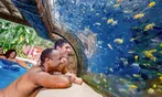 END OF SUMMER SALE! Save up to 59% on Aquatica Orlando Deals