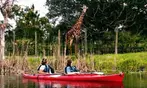 Brevard Zoo Admission & Animal Encounters, Melbourne, FL