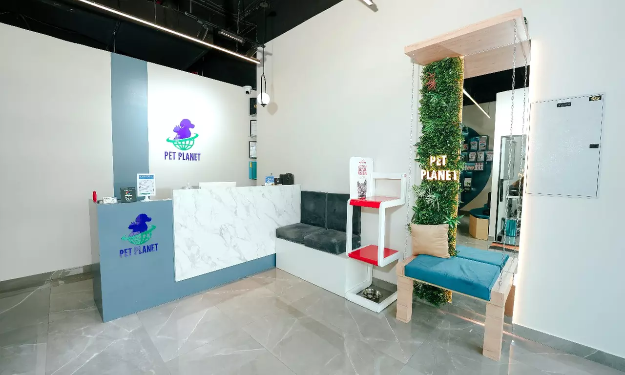 Full Grooming for Cat or Small Dog, Medium or Large Dog