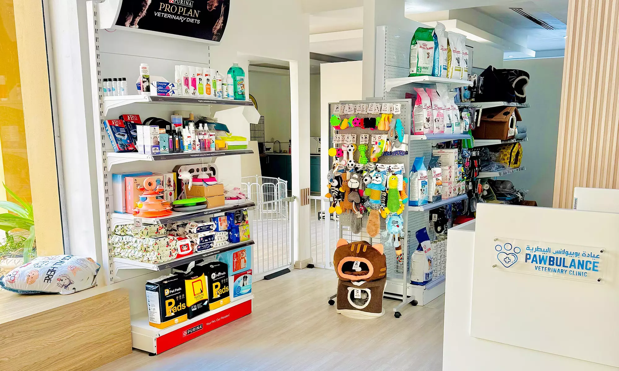 Basic or Full Grooming for Small, Medium, Large or XL Size Dogs/Cats