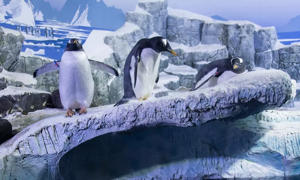 Standard-Ticket SEA LIFE Konstanz