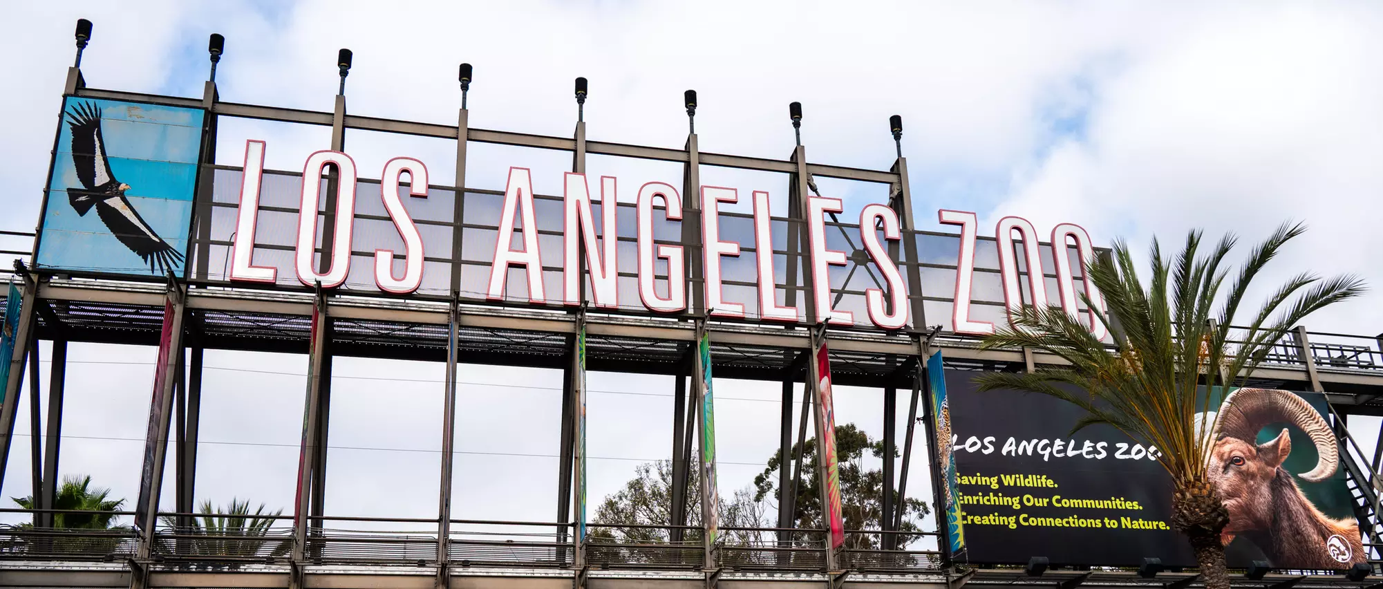 LA Zoo Admission - Explore Incredible Wildlife at the Los Angeles Zoo